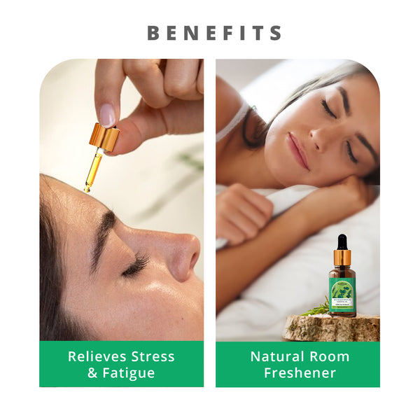 Eucalyptus Essential Oil