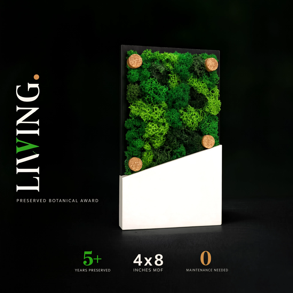 Preserved Botanical Award Plaque — Real Moss, Custom Engraved Acrylic Cover