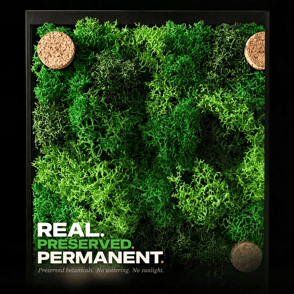 Preserved Botanical Award Plaque — Real Moss, Custom Engraved Acrylic Cover