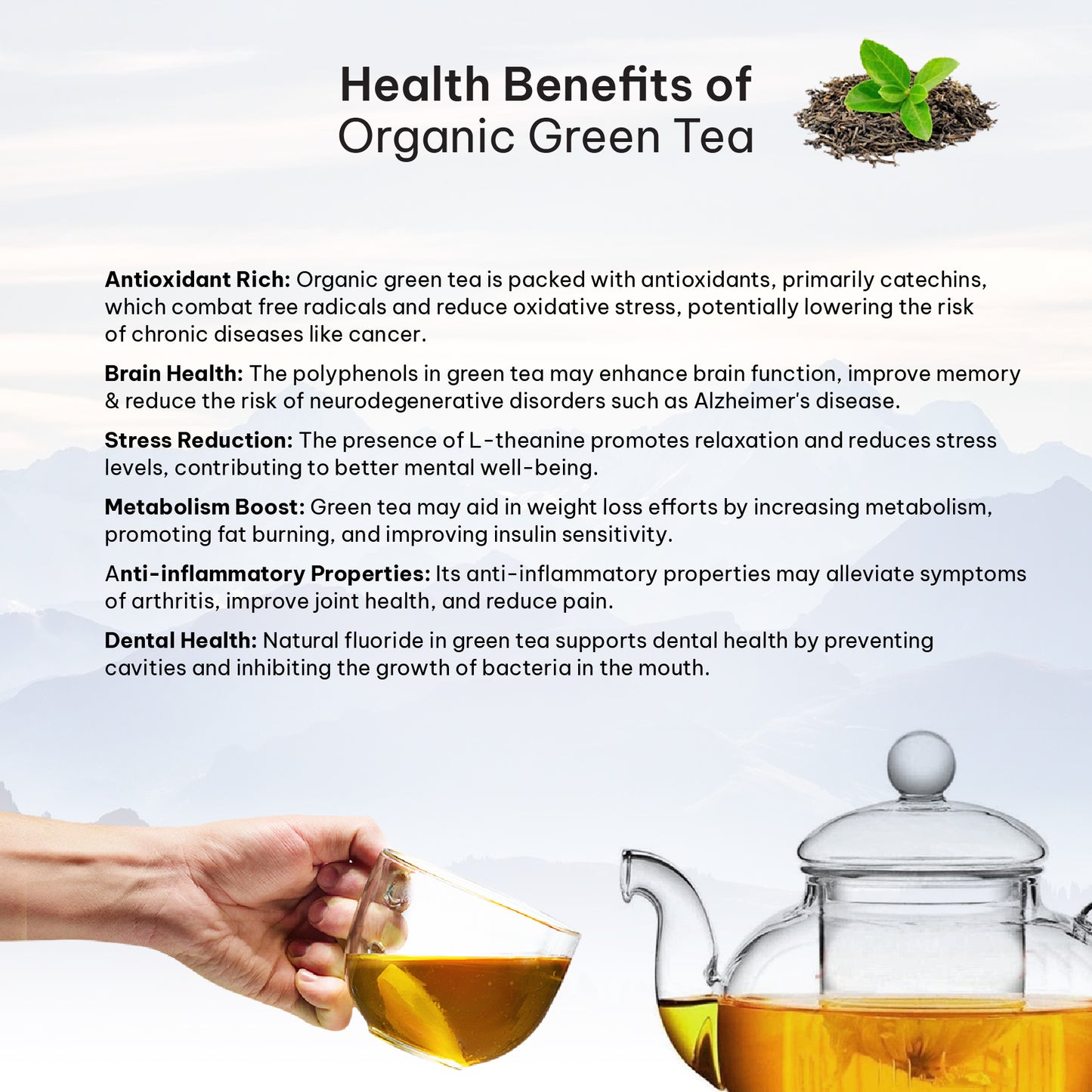 Tearaja Organic Green Tea – Loose Leaf 100 g