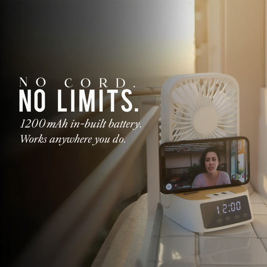 5-in-1 Portable Desk Fan