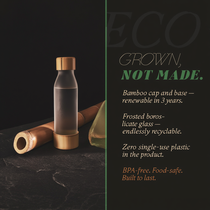 Frosted Glass Bottle with Bamboo Cap & Base | 500ml Eco