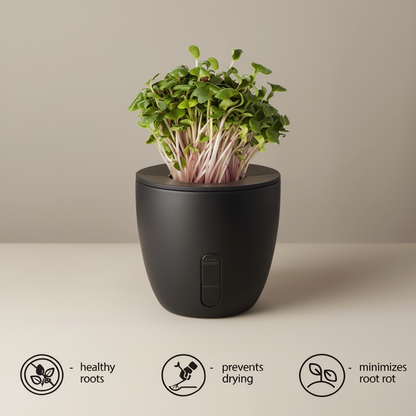 Self Watering Plant Pot with Water Level Indicator