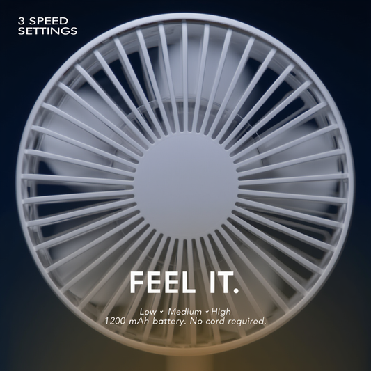 5-in-1 Portable Desk Fan