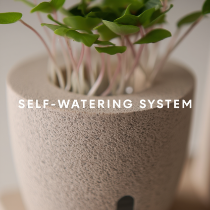 Multifunctional Desk Organizer with Plant Pot, Pen Holder & Stand