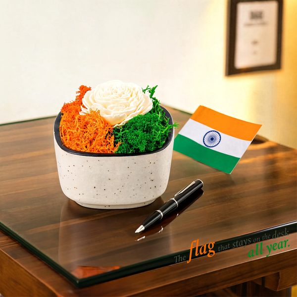 India Tricolor Ceramic Bowl — Preserved Moss & Shola Flower