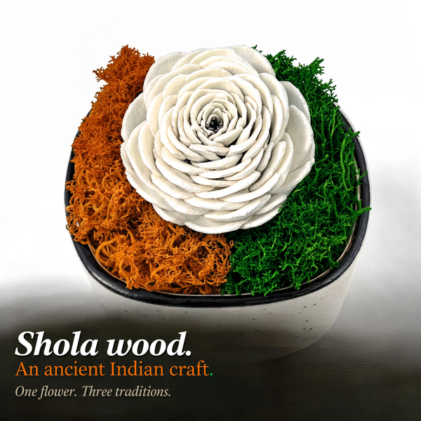 India Tricolor Ceramic Bowl — Preserved Moss & Shola Flower