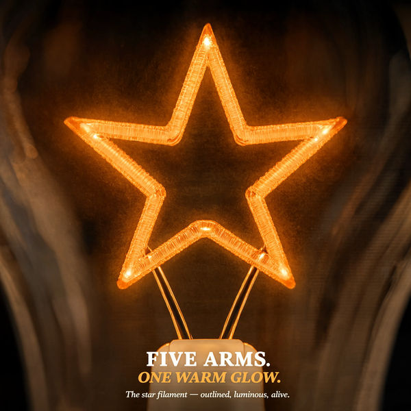 Rechargeable Decorative Bulb with Star Filament