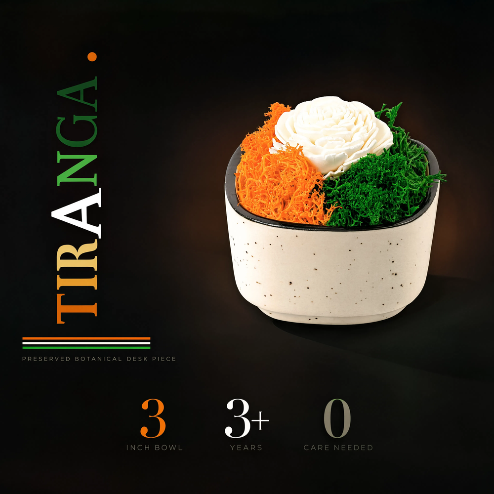 India Tricolor Ceramic Bowl — Preserved Moss & Shola Flower