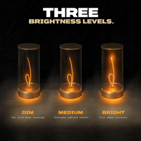 Rechargeable Magnetic Filament Table Lamp