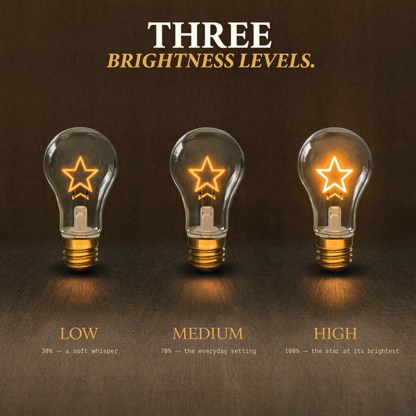 Rechargeable Decorative Bulb with Star Filament