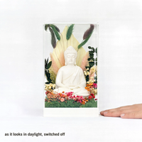 Buddha Terrarium — Preserved Moss & Flowers, Warm LED, Acrylic Enclosure