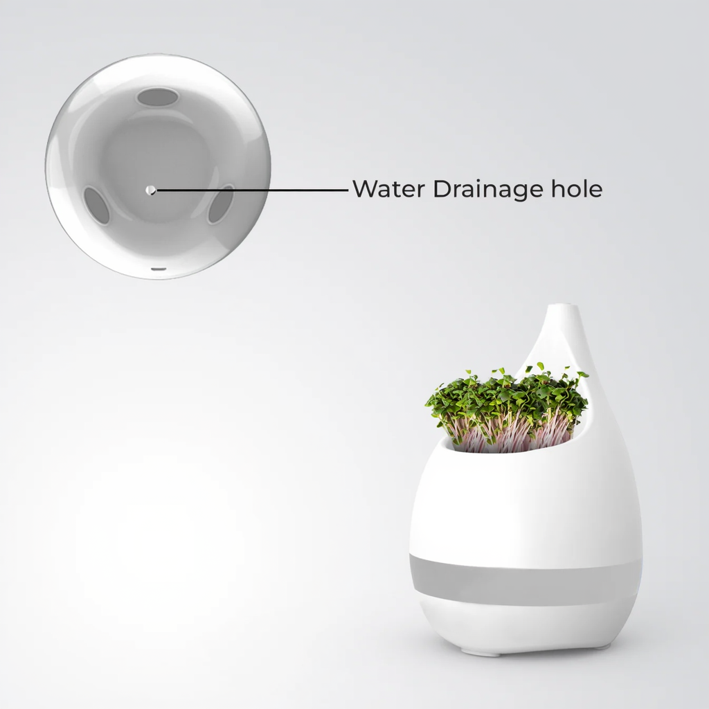 2-in-1 Plant Pot & Pen Stand
