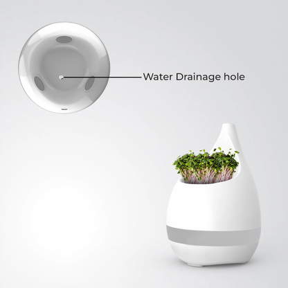 2-in-1 Plant Pot & Pen Stand