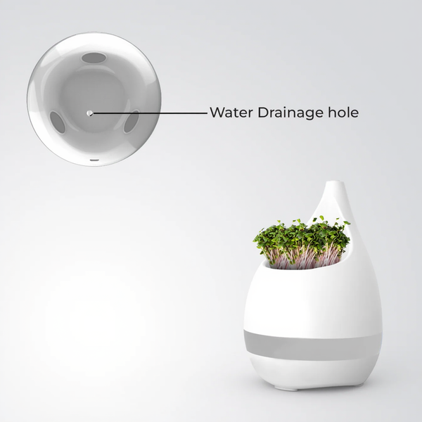 2-in-1 Plant Pot & Pen Stand